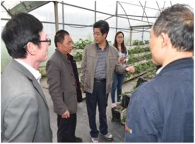 深耕產(chǎn)業(yè)一線，助力鄉(xiāng)村振興——園藝學(xué)院教工第二黨支部赴周寧、政和開(kāi)展黨員活動(dòng)日活動(dòng)